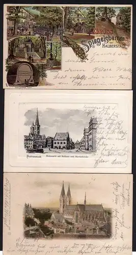 77538 3 AK Halberstadt Litho Spiegelbergen Restauration Gaststätte 1901 Dom