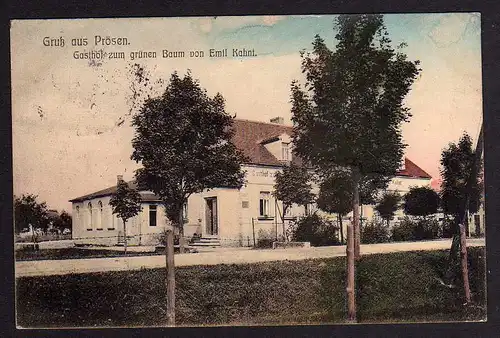 69946 AK Prösen Gasthaus zum grünen Baum E. Kahnt 1912