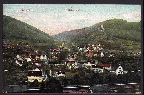 49990 AK Liebenzell Totale beim Bahnhof 1907