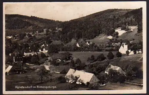 46662 Fotokarte AK Agnetendorf Riesengebirge um 1920