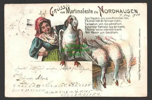 145486 AK Nordhausen 1904 Litho Gruß vom Martinsfeste Martinsgans