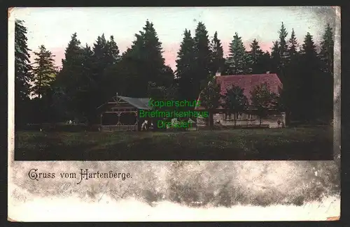 142973 AK Gruss vom Hartenberge Waldhaus bei Hasserode 1903