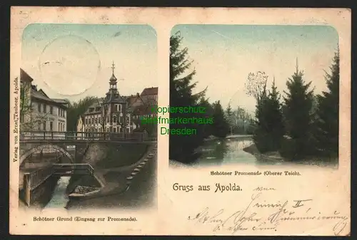 142450 AK Apolda 1901 Schötener Promenade Oberer Teich Grund Brücke