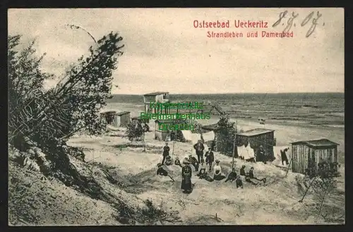 142351 AK Ückeritz auf Usedom 1907 Strandleben Damenbad