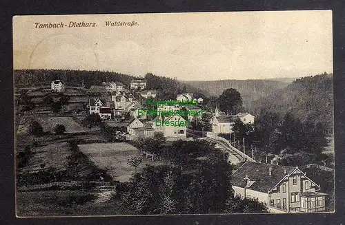 128388 AK Tambach-Dietharz Kr. Ohrdruff 1921 Waldstraße