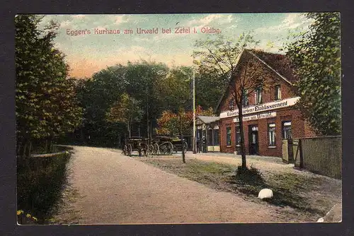 99139 AK Urwald bei Zetel i. Oldenburg Eggens Kurhaus 1909