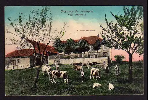 79834 AK Gruss von der Poselspitze 1914 Vetters Weinschank Post Meissen Gasthaus