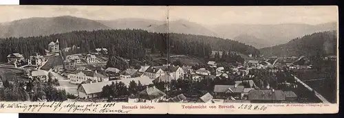 74216 Klapp AK Borsec Bad Borseck Borszek Villen Kurhaus 1900