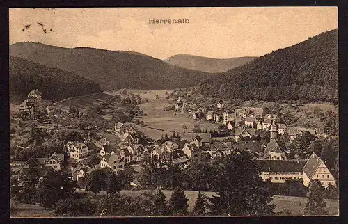 49985 AK Herrenalb 1909 Panorama