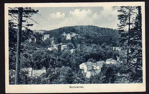 35133 AK Bad Freienwalde a. O. 1918 Brunnental