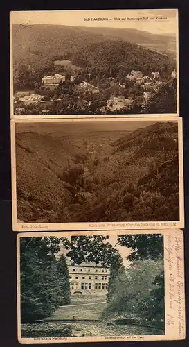 35326 3 AK Bad Harzburg 1923 Ettershaus 1915 Panorama 1928