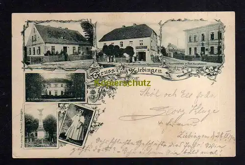 115700 AK Ziebingen Ziebingen 1902 Deutsches Haus Destillation Kaufhaus Hermann