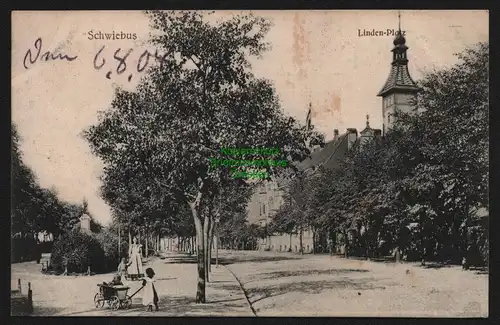 148052 AK Swiebodzin Schwiebus 1906 Linden Platz