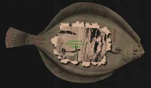 148259 AK Ahlbeck 1900 Flunder Scholle Fischpostkarte Gruss von d. See Morgenbad