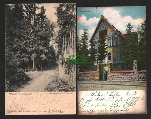 142561 2 AK Hartha bei Tharandt 1906 Waldpartie b. Forstgarten Villa Waldfrieden