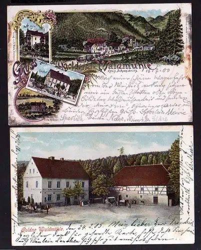 108389 2 AK Goldene Waldmühle Kr. Schweidnitz Litho 1900 Villa zur Erholung Vill