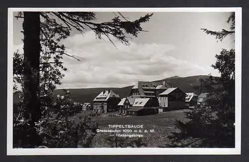 107741 AK Riesengebirge Tippeltbaude Grenzbauden um 1935 Fotokarte