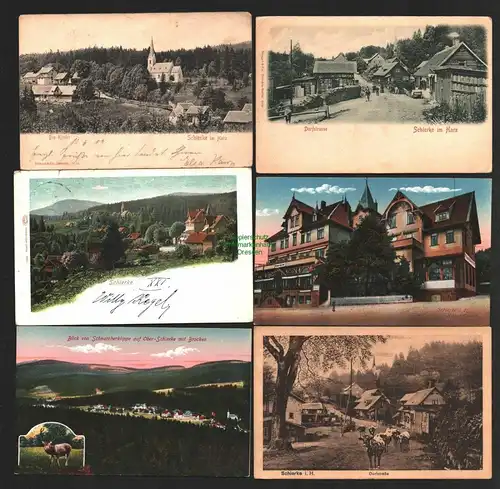142987 14 AK Schierlke Blick von der Mauseklippe 1912 Kühe 1902 Hoppes Gasthof