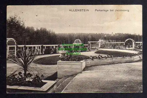 129606 AK Allenstein Olsztyn Ostpreußen 1917 Parkanlage bei Jacobsberg