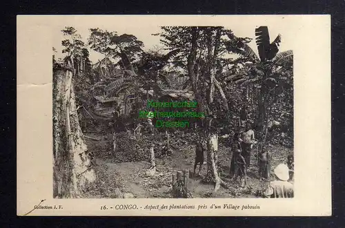 126625 AK Kamerun Molundu 1913 Tropen Vegetation Bananen Congo