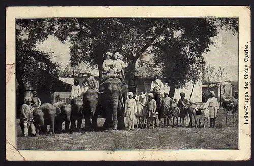 60276 AK Inder Truppe des Zirkus Charles Cirkus Elefant Lama Strauß