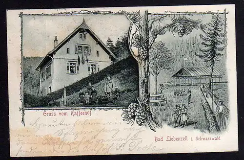 81874 AK Bad Liebenzell Gasthof Kaffeehof 1899 Nebenstempel Bahnhof