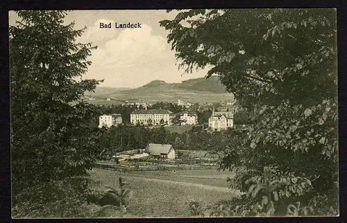 29732 AK Bad Landeck um 1920 Panorama Ladek-Zdroj