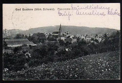 29922 AK Bad Buckow Märk. Schweiz Panorama 1923 Märkische Schweiz