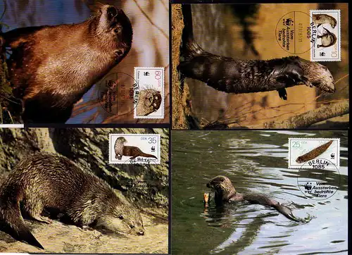 B172 DDR 3107 - 3110 4 Maximumkarten 1987 Vom Aussterben bedrohte Tiere Fischott