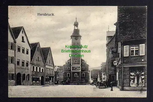 124343 AK Hersbruck 1907 Kunstmehl Verkauf Karl Müller Rathaus