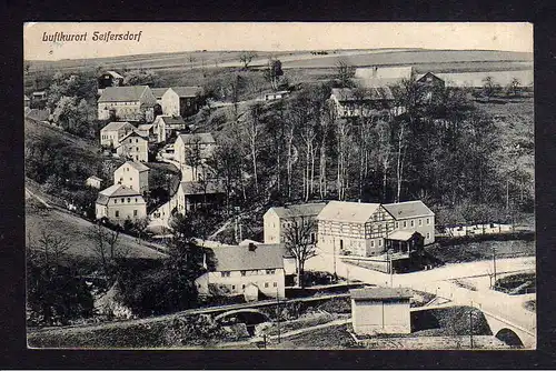 104979 AK Luftkurort Seifersdorf Amtsh. Dippoldiwalde um 1920