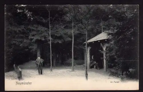 41047 AK Neumünster 1905 Im Forst