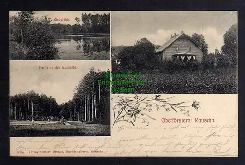 126335 AK Ruszow Rauscha 1908 Ziebeteich Gummicht