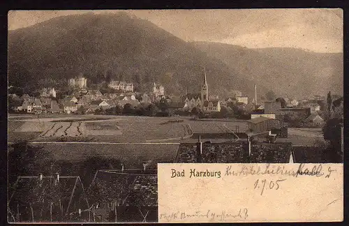 36339 AK Bad Harzburg 1905 Panorama