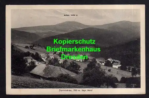 118907 AK Sommerau bayr. Wald Arber Lam 1925