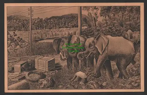 144808 AK Deutsch Ostafrika Die gestörte Telegraphenbau Kolonne Elefanten  1910