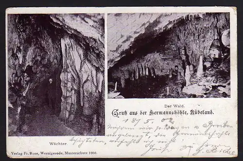 46991 AK Hermannshöhle Rübeland bei Wernigerode 1902 Wächter Der Wald