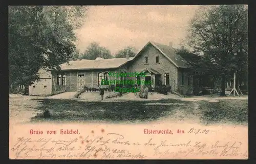 143928 AK Elsterwerda 1900 Gruss vom Holzhof