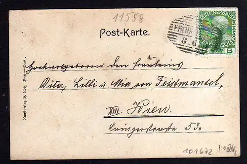 101672 AK Frohnleiten Steiermark 1908