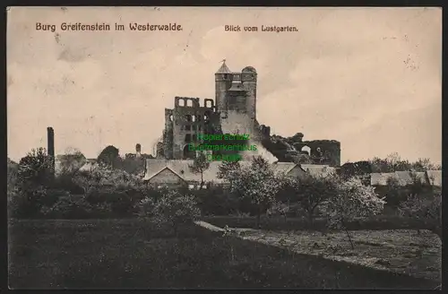 149375 AK Burg Greiffenstein Westerwald 1913