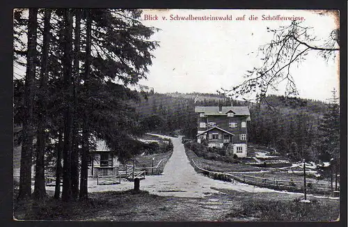 64322 AK Schöffenwiese 1912 Schwalbensteinwald