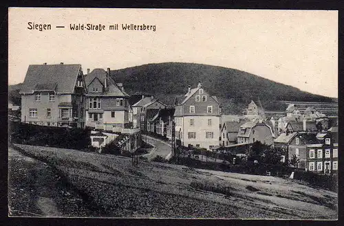 48356 AK Siegen Wald Straße mit Wellersberg um 1915