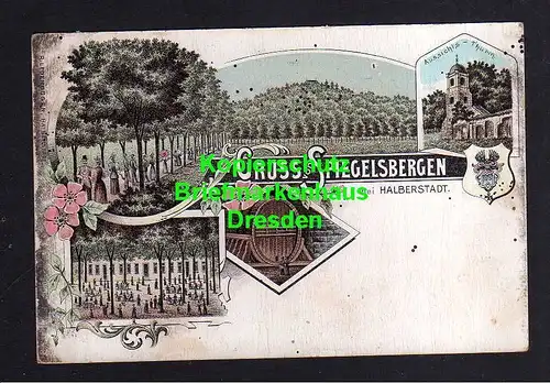 114516 AK Spiegelsbergen bei Halberstadt um 1900 Litho Aussichtsturm Großes Wein
