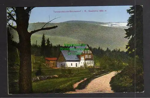 130544 AK Tannenbaude Bronsdorf im Riesengebirge 1931