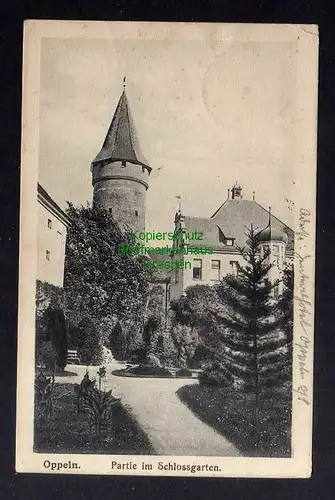 131746 AK Oppeln 1917 Feldpost Partie im Schlossgarten
