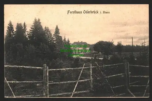 143239 AK Forsthaus Oderbrück Braunlage Kr. Goslar 1907