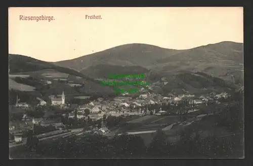 143884 AK Riesengebirge Freiheit um 1910
