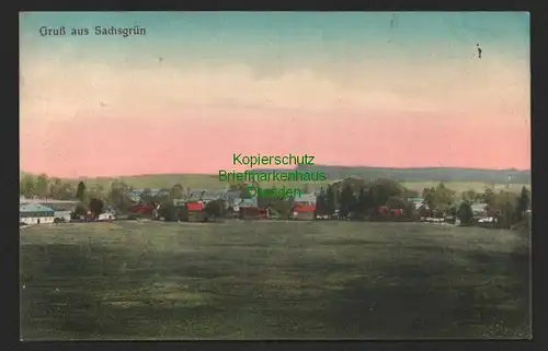 146574 AK Sachsgrün Triebel/Vogtl. Panorama 1912