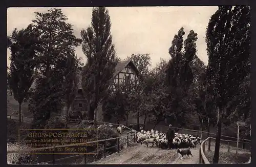 38931 AK Döbeln 1913 Auf der Dorfstraße in Dittersdorf Heimatschutz Zillessen