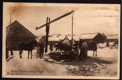 60509 AK Kolno Pferdetränke Pferde 1916 Feldpost Ostpreussenhilfe